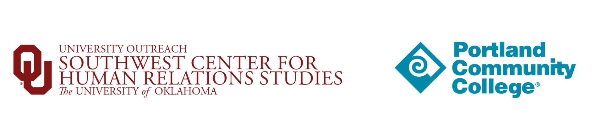 In Partnership with_SWCHRS_American University_Horizontal_ (1920 x 300 px) (1)